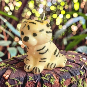 Tiger cub