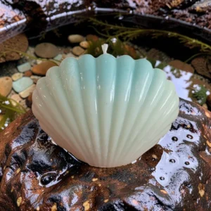 Seashell