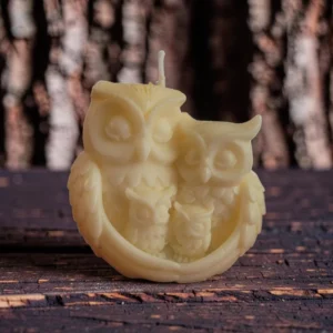 Owl Family