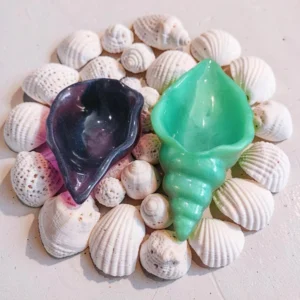 Conch shell trinket item