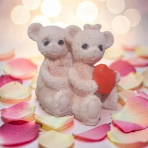Loving Teddy's with heart