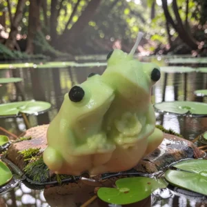 Loving Frogs Can be ordered just msg me